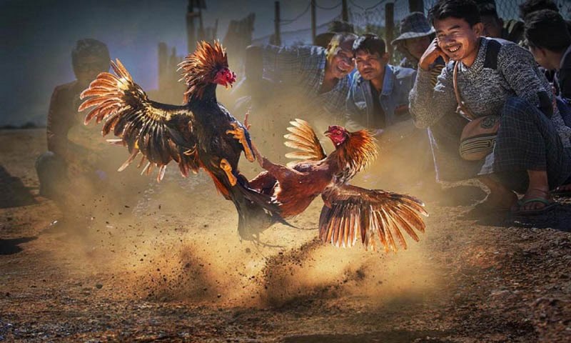 Nạp tiền vào tài khoản Re88 thông qua ngân hàng trực tuyến - Re88